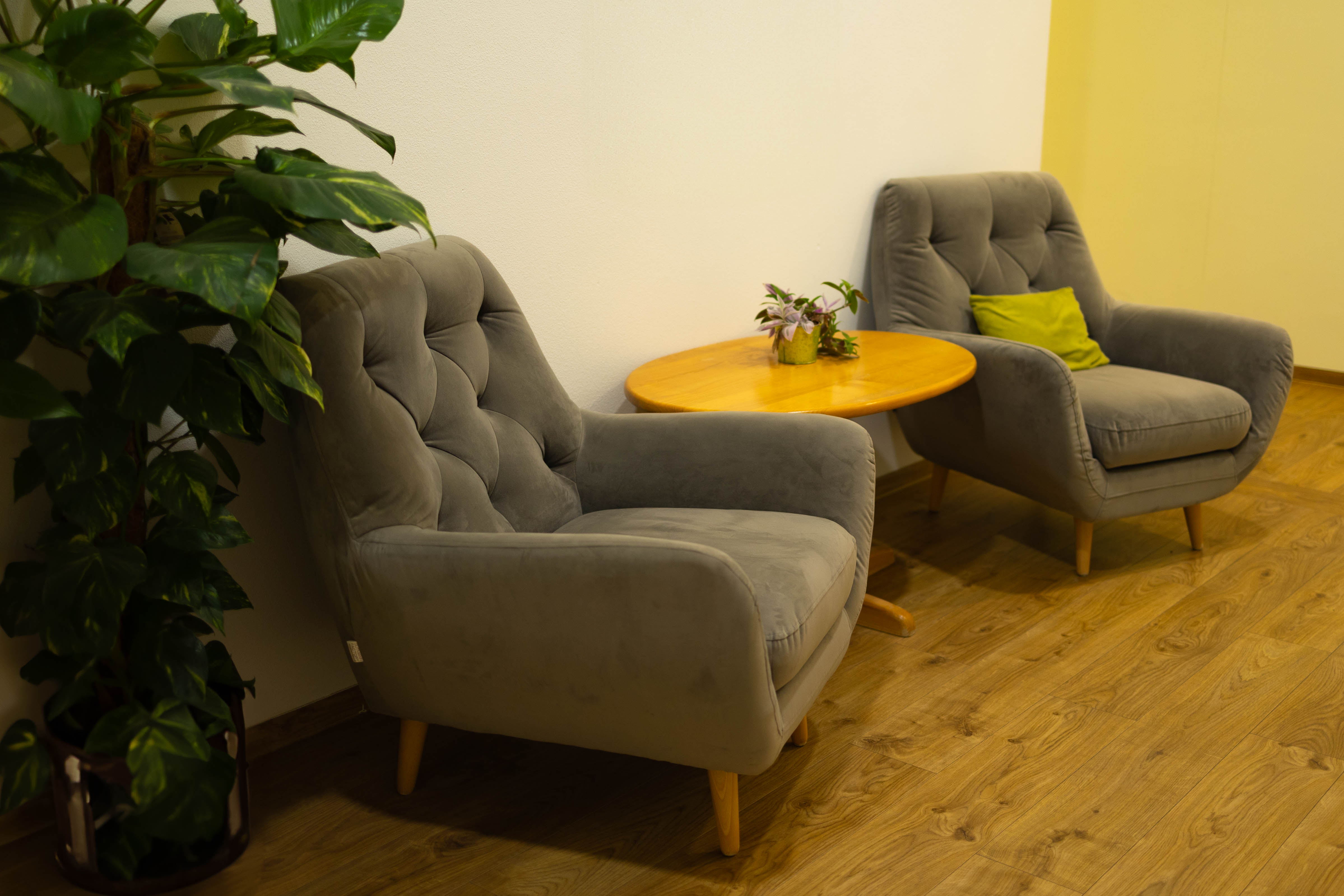 Ambulant betreutes Wohnen-Schönau-Wohnen am Schlosspark-Gang